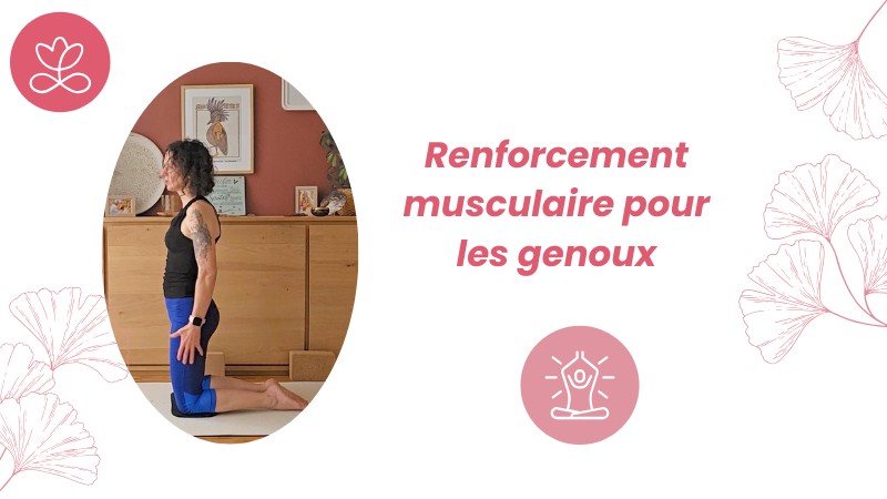 3. Renforcement musculaire pour les genoux